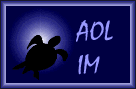 AOL Im